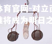 对立面的权衡，谁将成为明日之星